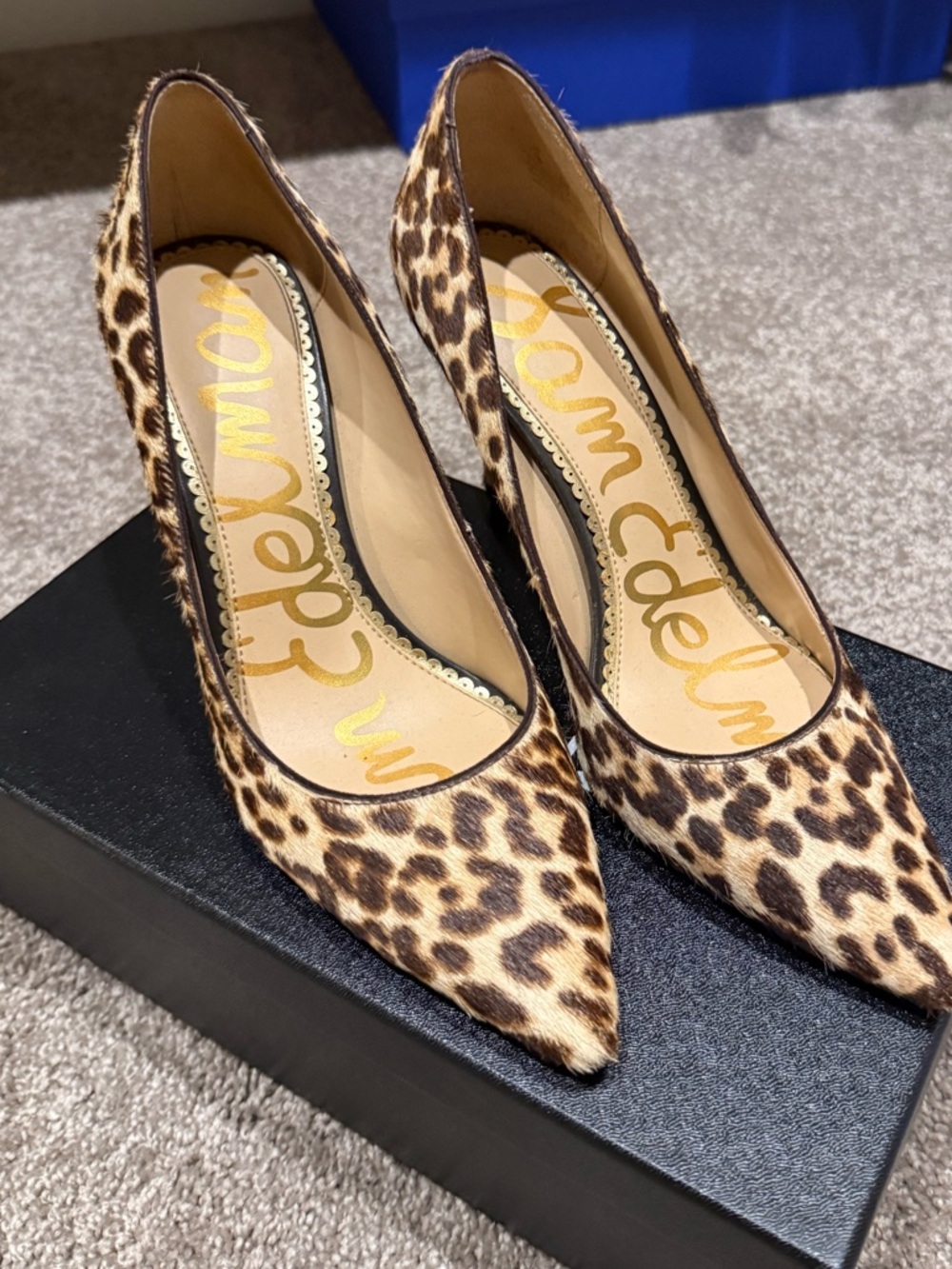 Sam Edelman Leopard Print Haircalf Pointed Pumps in Brown and Tan